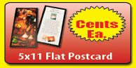 5x11 flat pc